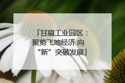 甘眉工业园区：聚势飞地经济 向“新”突破发展