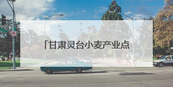 甘肃灵台小麦产业点燃乡村振兴新引擎