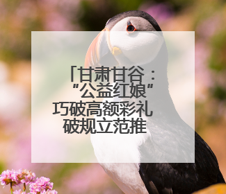 甘肃甘谷：“公益红娘”巧破高额彩礼 破规立范推广文明婚俗