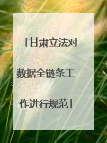 甘肃立法对数据全链条工作进行规范
