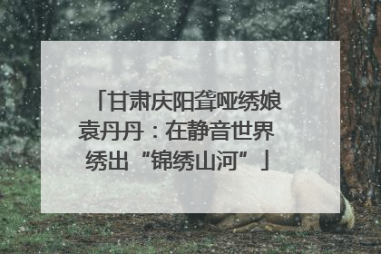 甘肃庆阳聋哑绣娘袁丹丹：在静音世界绣出“锦绣山河”