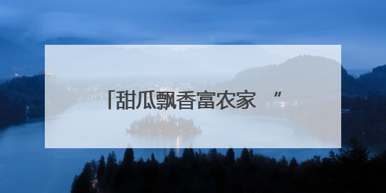 甜瓜飘香富农家 “甜蜜产业”助振兴
