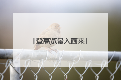 登高览景入画来