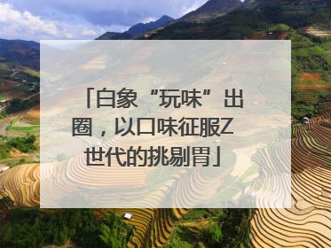 白象“玩味”出圈，以口味征服Z世代的挑剔胃