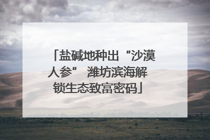 盐碱地种出“沙漠人参” 潍坊滨海解锁生态致富密码