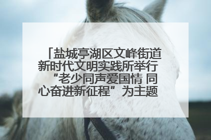 盐城亭湖区文峰街道新时代文明实践所举行“老少同声爱国情 同心奋进新征程”为主题的红色文化活动