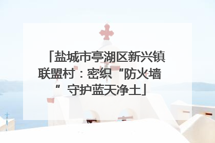 盐城市亭湖区新兴镇联盟村：密织“防火墙”守护蓝天净土