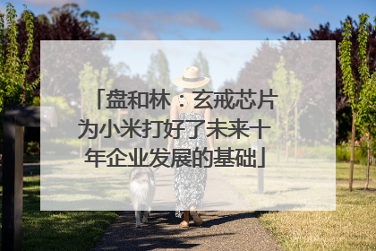 盘和林：玄戒芯片为小米打好了未来十年企业发展的基础