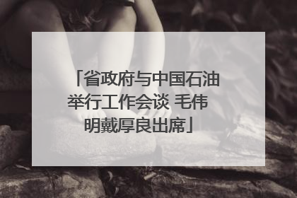 省政府与中国石油举行工作会谈 毛伟明戴厚良出席