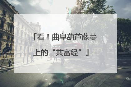 看！曲阜葫芦藤蔓上的“共富经”