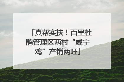 真帮实扶！百里杜鹃管理区两村“威宁鸡”产销两旺