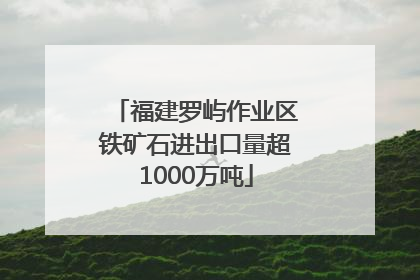 福建罗屿作业区铁矿石进出口量超1000万吨