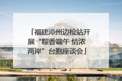 福建漳州边检站开展“粽香端午 情浓两岸”台胞座谈会
