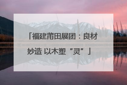 福建莆田展团：良材妙造 以木塑“灵”