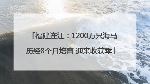 福建连江：1200万只海马历经8个月培育 迎来收获季