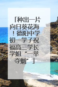 种出一片向日葵花海！德阳中学初一学子祝福高三学长学姐“一举夺魁”