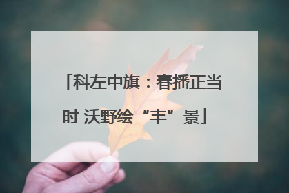 科左中旗：春播正当时 沃野绘“丰”景