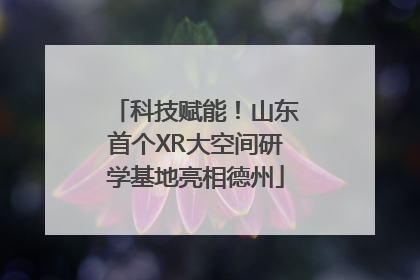科技赋能！山东首个XR大空间研学基地亮相德州