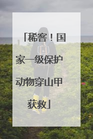 稀客！国家一级保护动物穿山甲获救