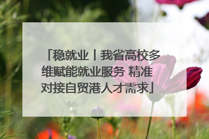 稳就业丨我省高校多维赋能就业服务 精准对接自贸港人才需求