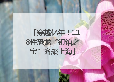 穿越亿年！118件恐龙“镇馆之宝”齐聚上海