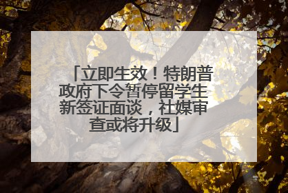 立即生效！特朗普政府下令暂停留学生新签证面谈，社媒审查或将升级