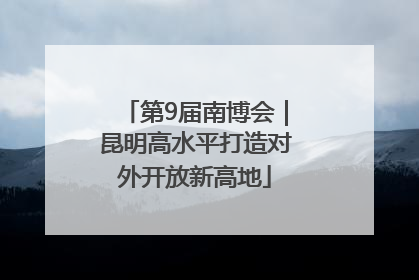 第9届南博会｜昆明高水平打造对外开放新高地