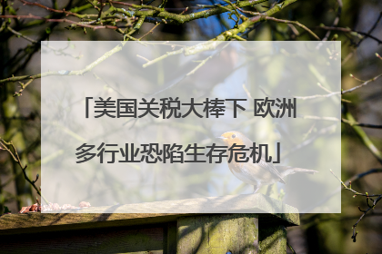 美国关税大棒下 欧洲多行业恐陷生存危机