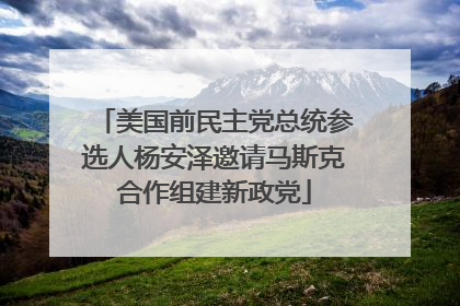 美国前民主党总统参选人杨安泽邀请马斯克合作组建新政党