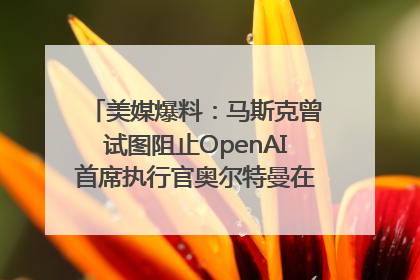 美媒爆料：马斯克曾试图阻止OpenAI首席执行官奥尔特曼在中东的AI交易