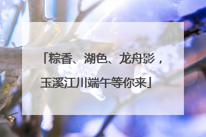粽香、湖色、龙舟影，玉溪江川端午等你来