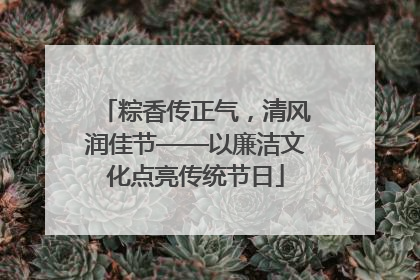 粽香传正气，清风润佳节——以廉洁文化点亮传统节日