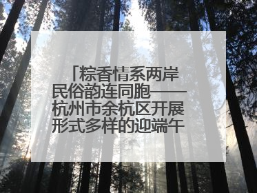 粽香情系两岸 民俗韵连同胞——杭州市余杭区开展形式多样的迎端午联谊活动