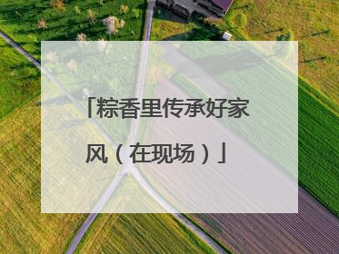 粽香里传承好家风（在现场）