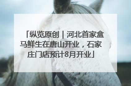 纵览原创｜河北首家盒马鲜生在唐山开业，石家庄门店预计8月开业