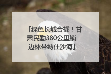 绿色长城合拢！甘肃民勤380公里锁边林带缚住沙海