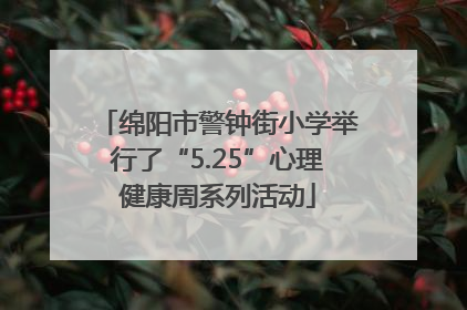 绵阳市警钟街小学举行了“5.25”心理健康周系列活动
