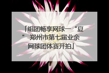组团畅享网球一“夏” 郑州市第七届业余网球团体赛开拍