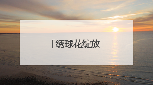 绣球花绽放 引来十万客