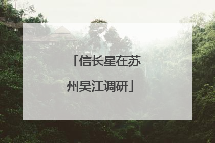 信长星在苏州吴江调研