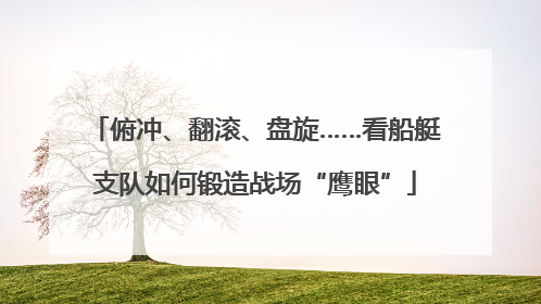 俯冲、翻滚、盘旋……看船艇支队如何锻造战场“鹰眼”