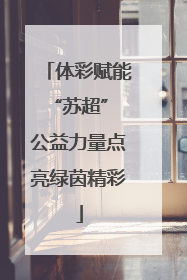 体彩赋能“苏超” 公益力量点亮绿茵精彩