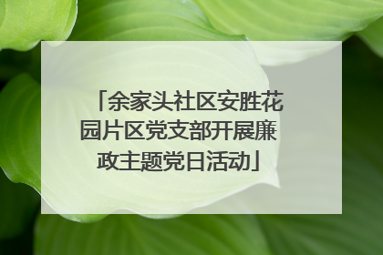 余家头社区安胜花园片区党支部开展廉政主题党日活动