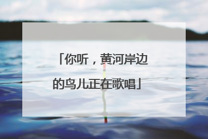 你听，黄河岸边的鸟儿正在歌唱