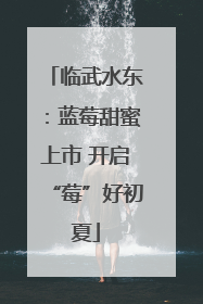 临武水东：蓝莓甜蜜上市 开启“莓”好初夏