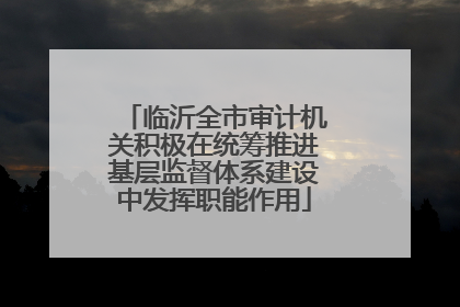 临沂全市审计机关积极在统筹推进基层监督体系建设中发挥职能作用