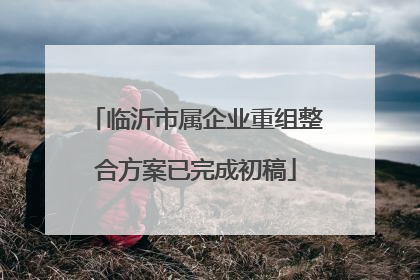 临沂市属企业重组整合方案已完成初稿