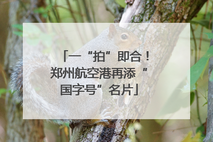 一“拍”即合！郑州航空港再添“国字号”名片