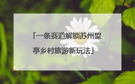 一条赛道解锁苏州望亭乡村旅游新玩法