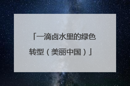 一滴卤水里的绿色转型（美丽中国）